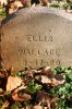 Ellis J. Wallace Headstone (aka Ellis J. Cole).
Dixon Developmental Center Cemetery, Dixon, Lee County, Illinois